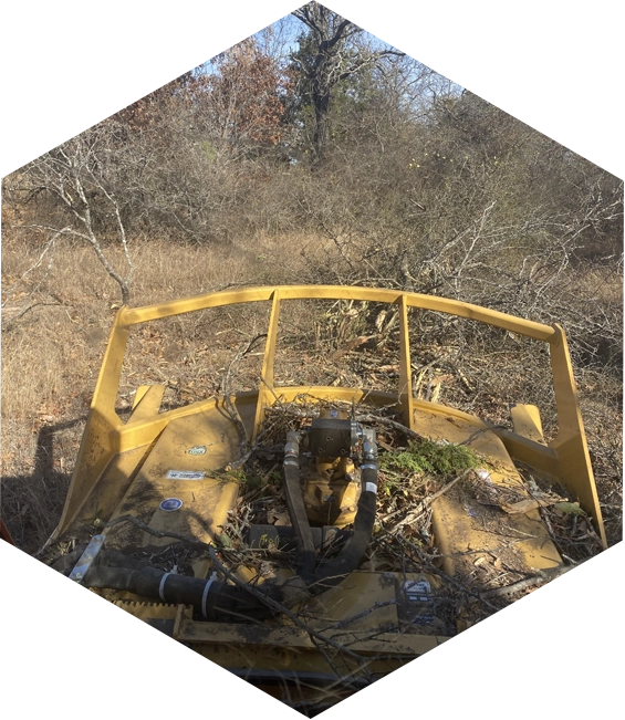 Yellow brush cutter in brush pile.