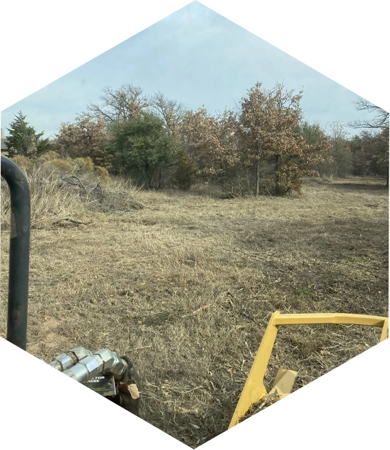 A view from a tractor clearing land.